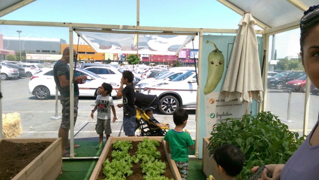 WhatsApp-Image-20160724 (3)